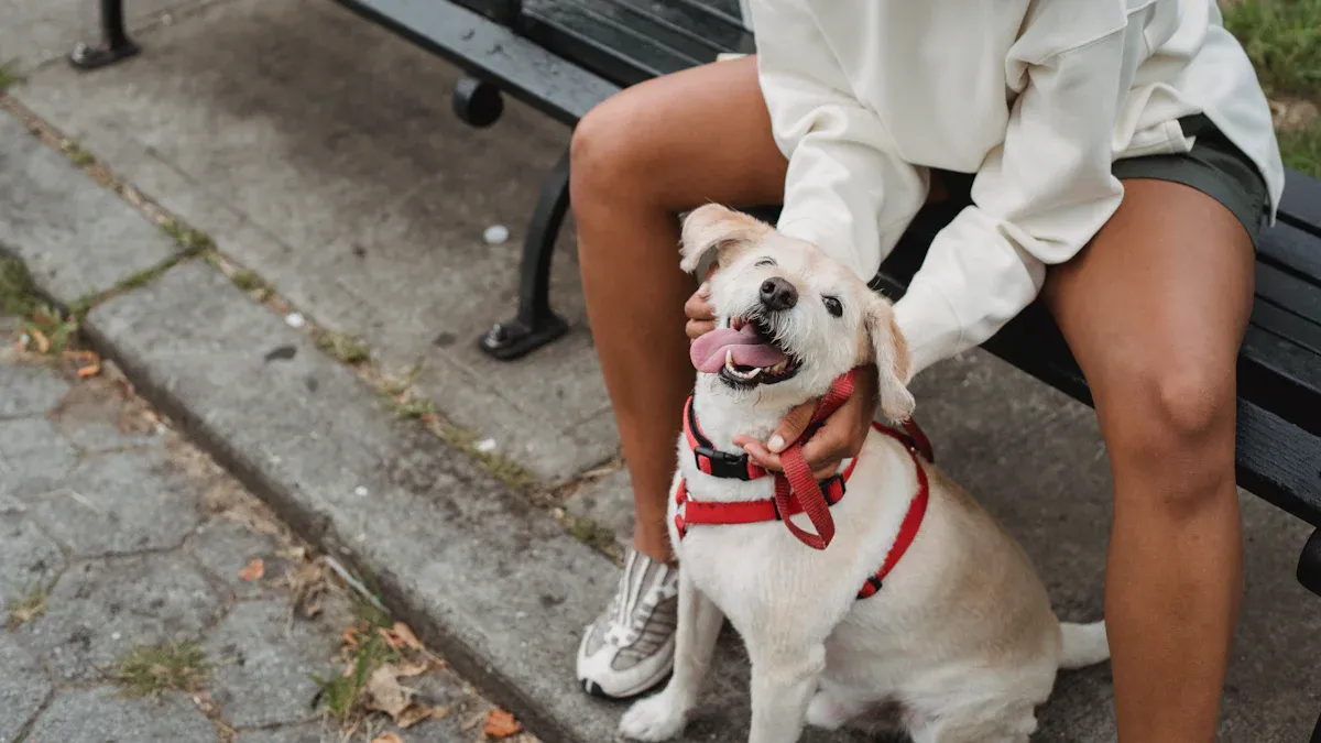 Safety Mistakes and What to Avoid