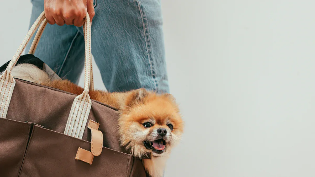 Measuring Your Dog for a Proper Fit