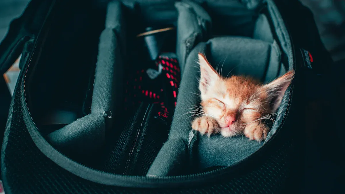 Comfort and materials in pet backpack carriers