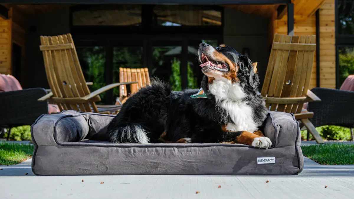 Failure signs and common mistakes with waterproof dog beds