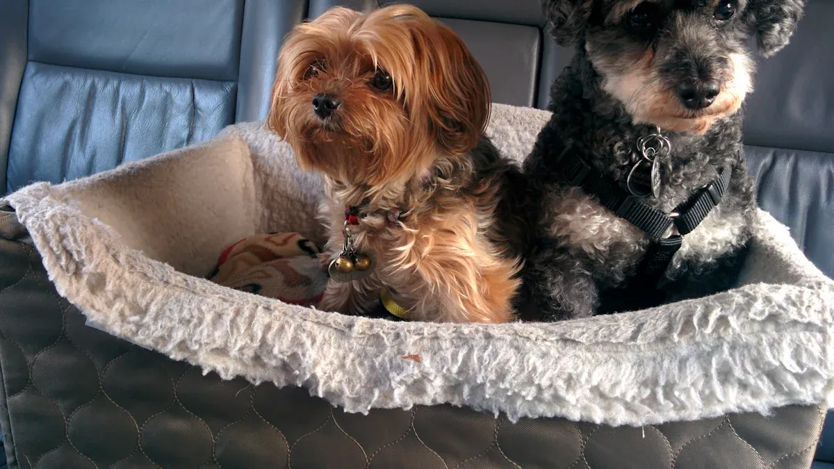 Large Dog Bed for Car Back Seat: Full Bench or One Seat Open?