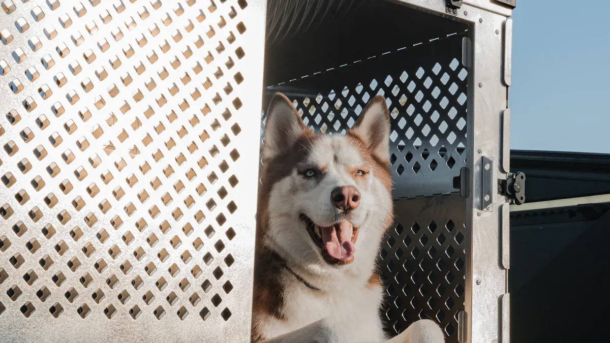 Setup and Installation Tips