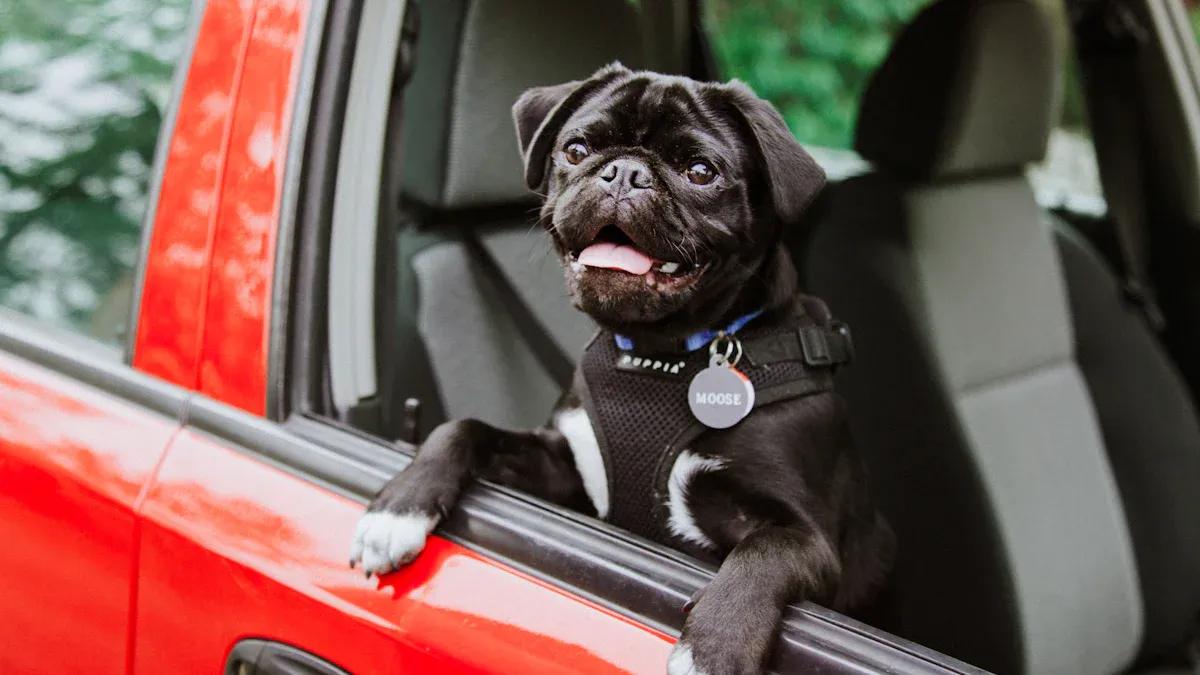 Safety risks of front seat travel