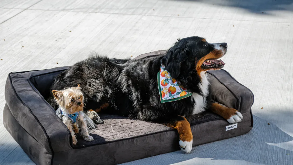 Materials and construction for dog comfort and durability