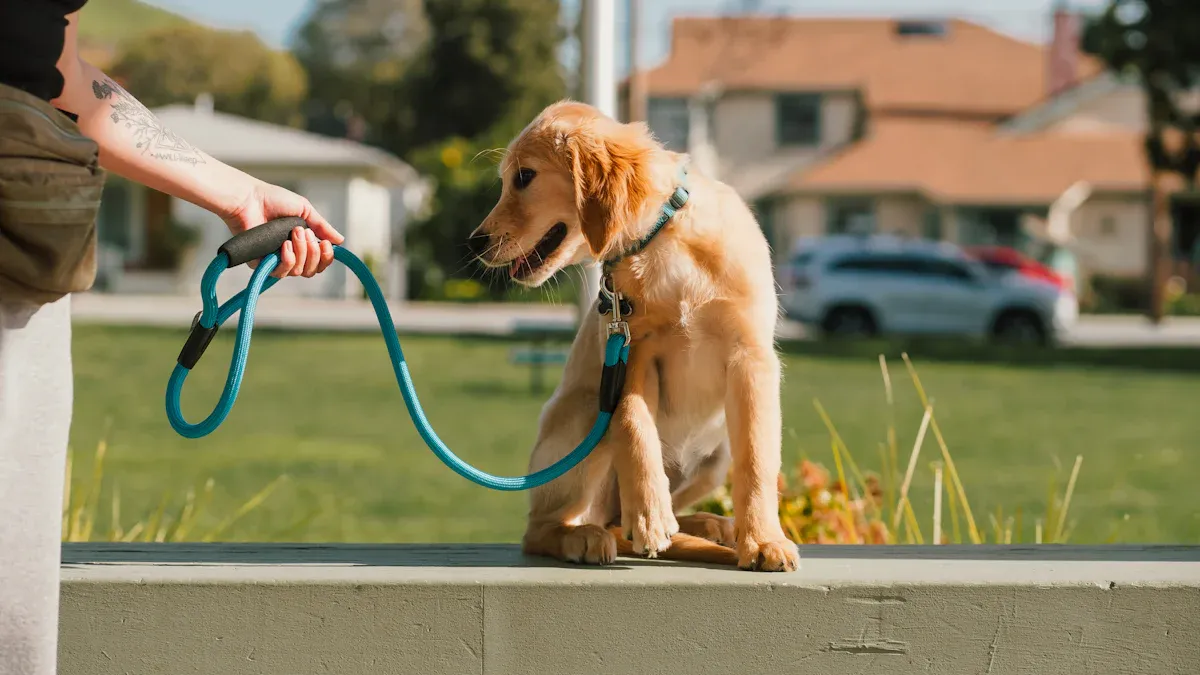 Nylon Dog Leashes: Durability and Safety