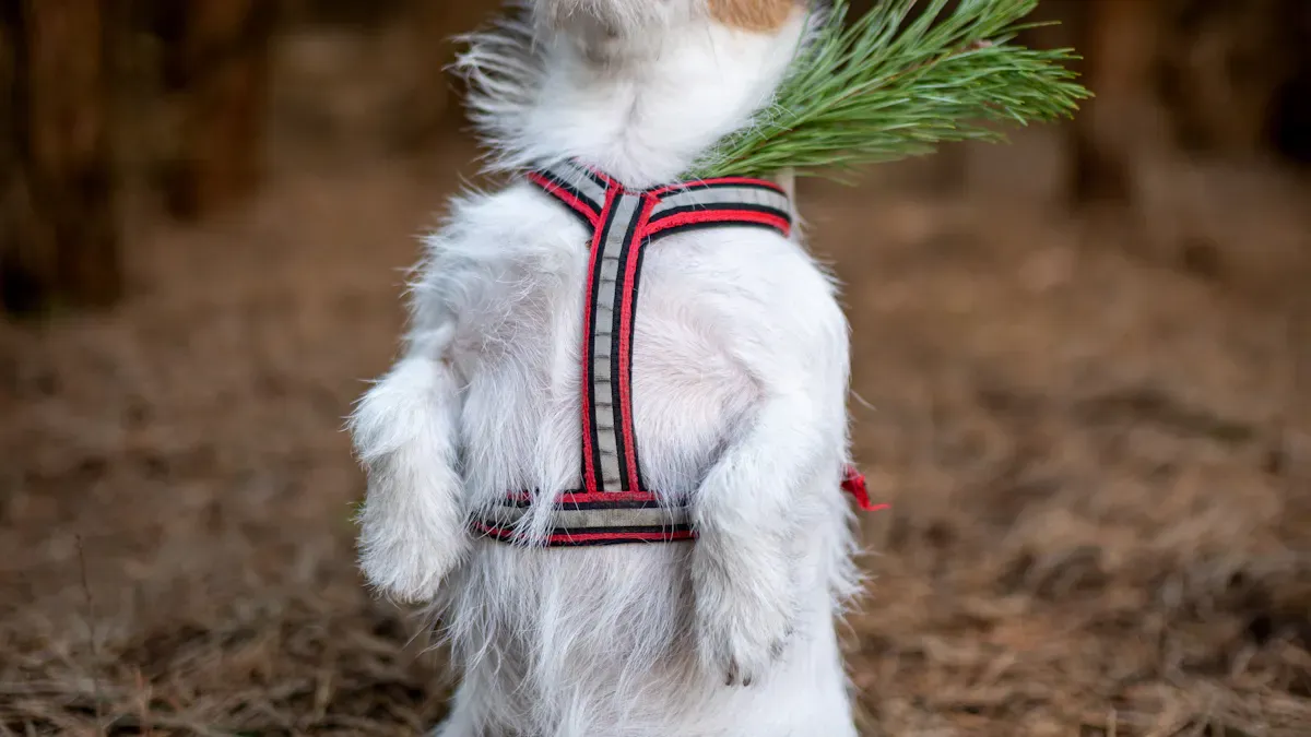 Common Sizing Mistakes and Troubleshooting