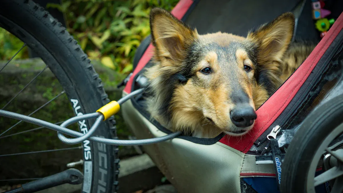 Bike pet carriers for dogs: Choosing the right style