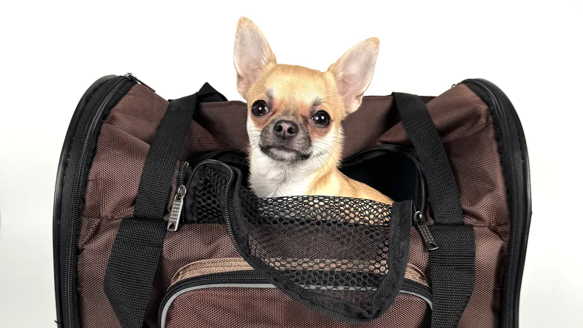 Comparing pet carrier tote bag features and tradeoffs