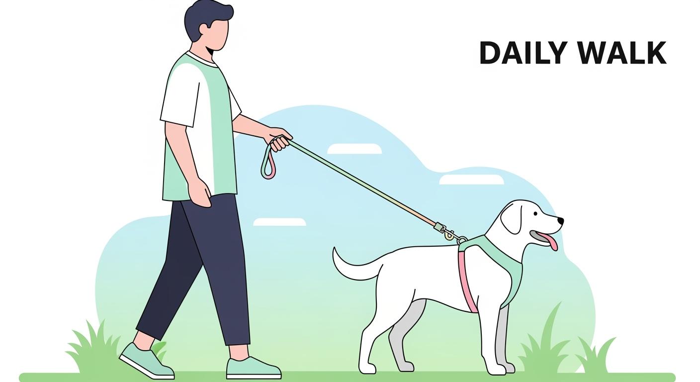 Walk Dog Leash: Padded Handle or Lower Clip Drag?