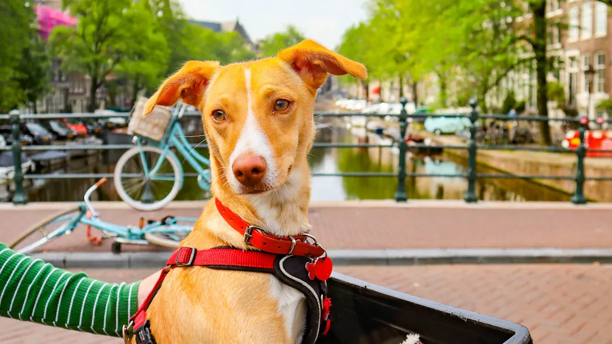 Best tsa approved pet carrier features and build