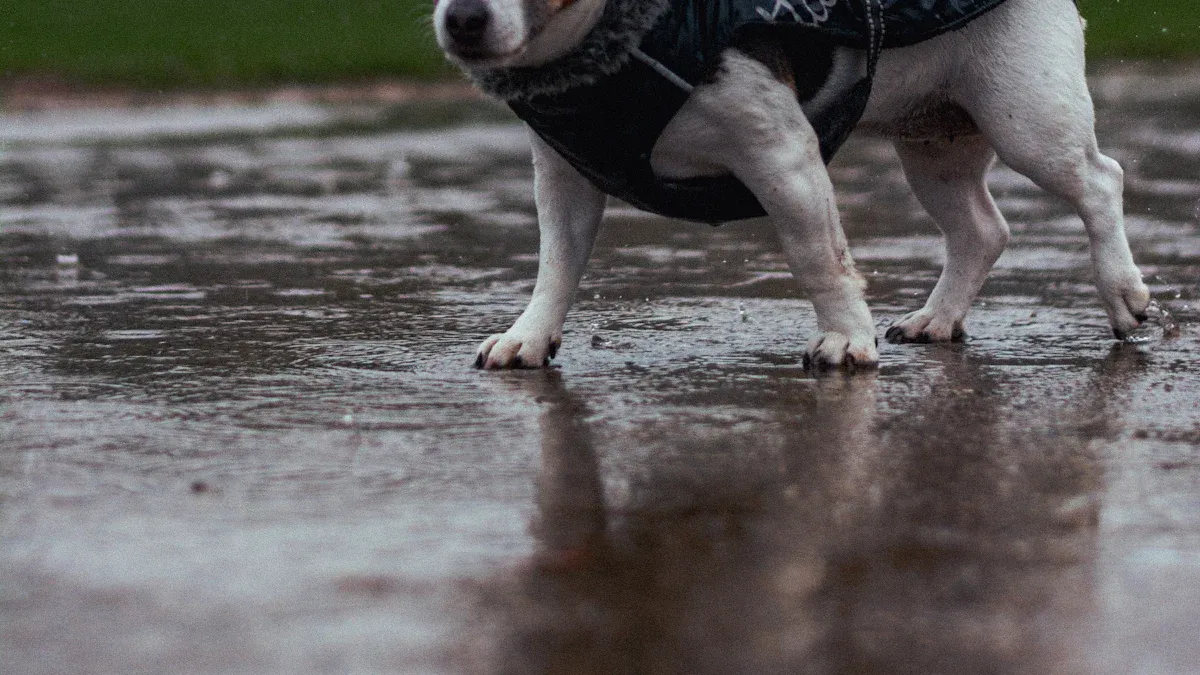 Wet Walks: Drying Speed, Heat, and Fit