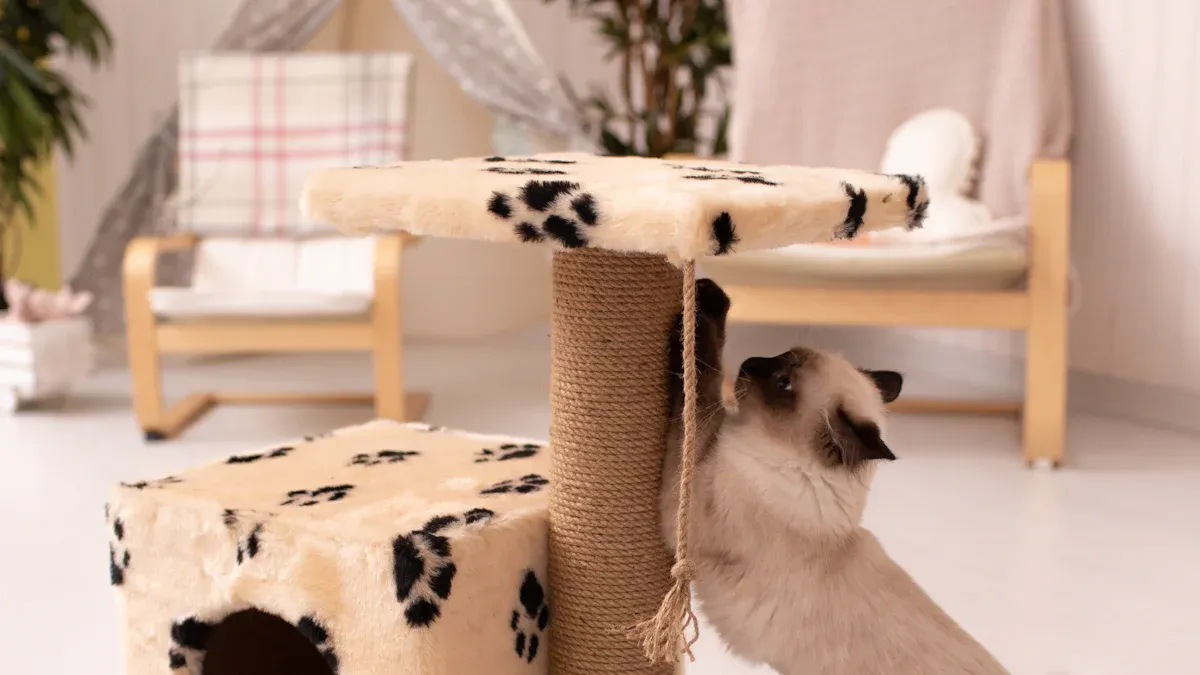 Cat Bed Buying Guide: Placement & Use Cases