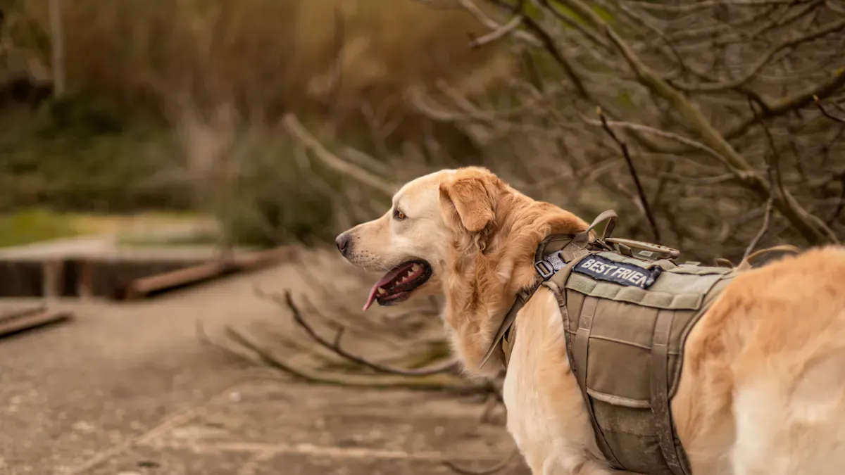 Best Tactical Harness Features