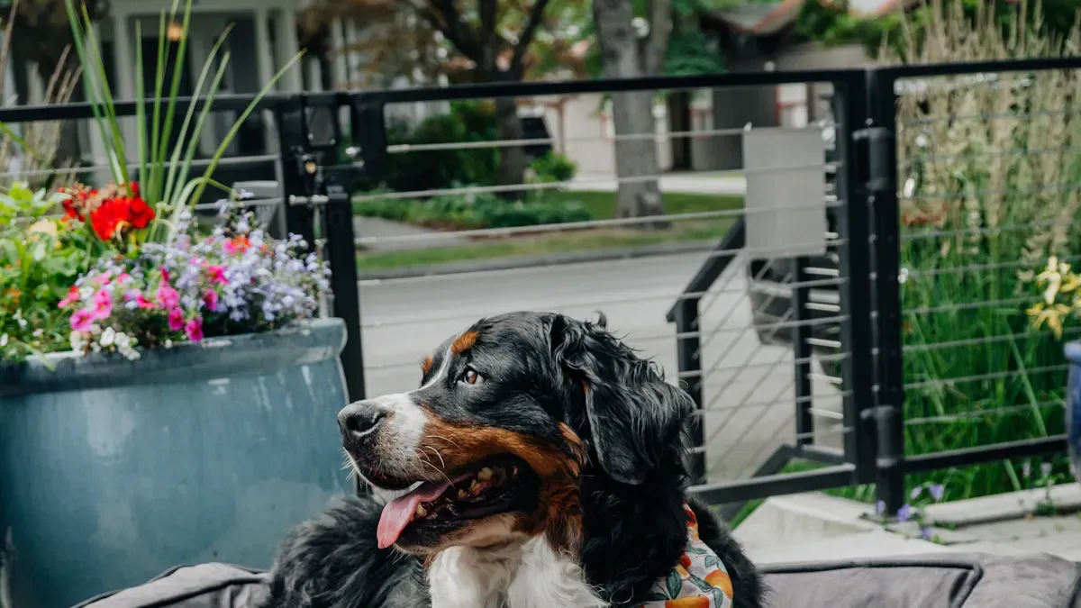 Dog car bed materials and comfort checks