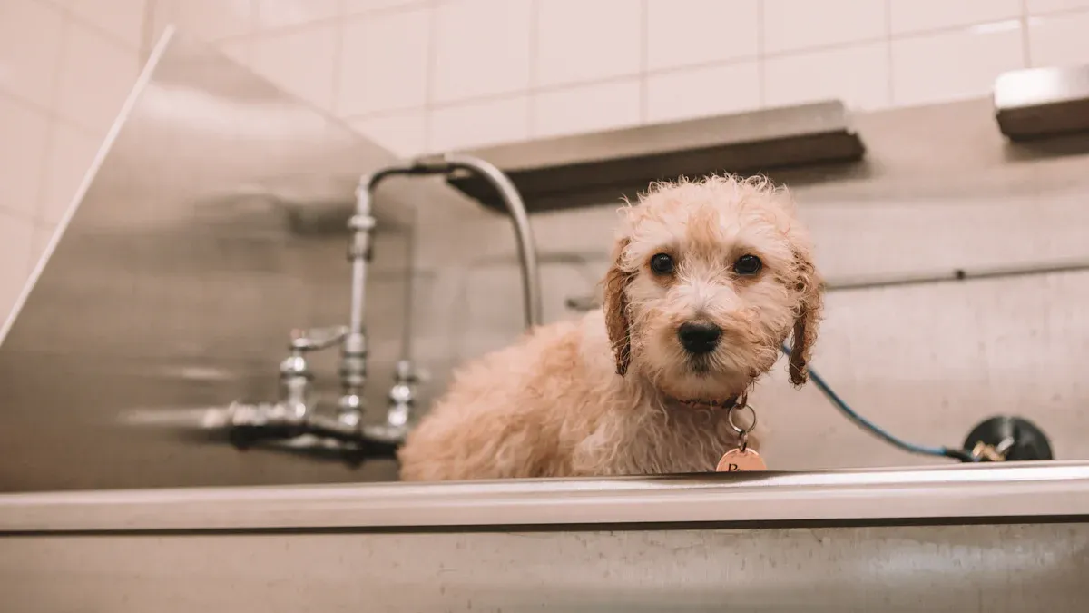 What to Wash Each Time