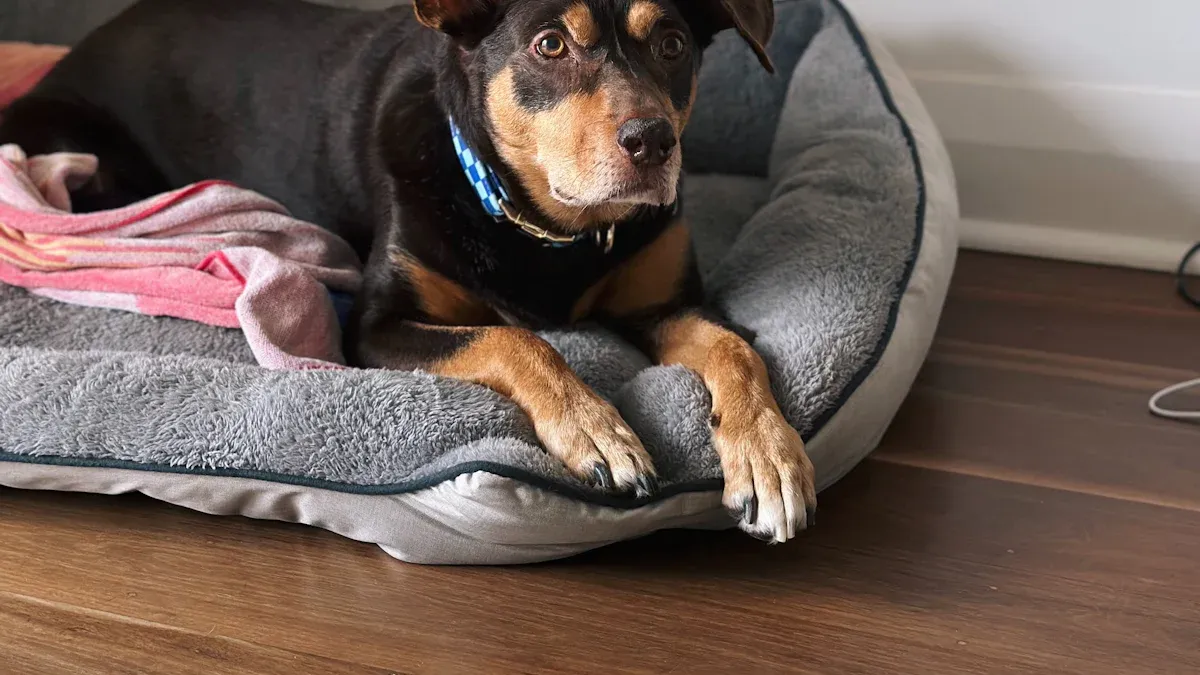 How Bed Edges and Size Affect Comfort