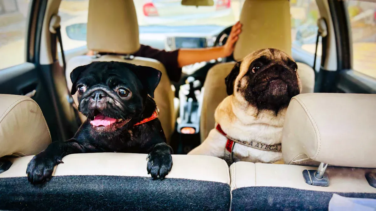 Large Dog Bed for Car Back Seat: Full Bench vs One Seat Open