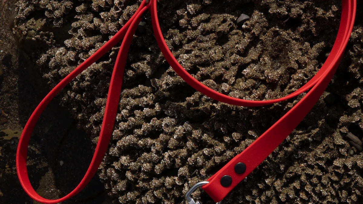 Best Dog Leash Materials and Setup Choices