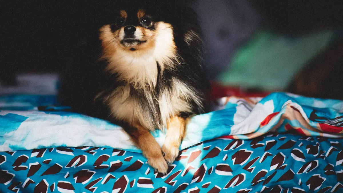 What to check before you keep it