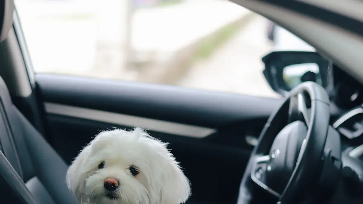 Pass-fail setup signs for a dog car seat with safety buckles