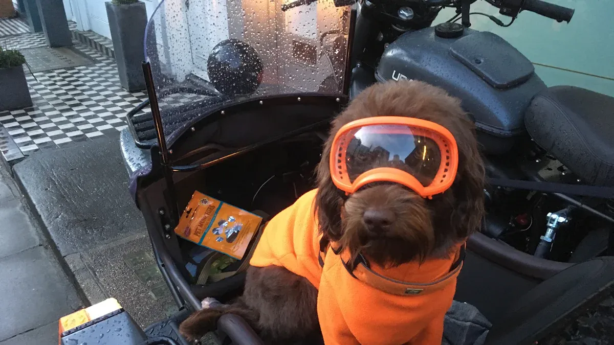 Safe Dog Carrier Backpack Security Practices