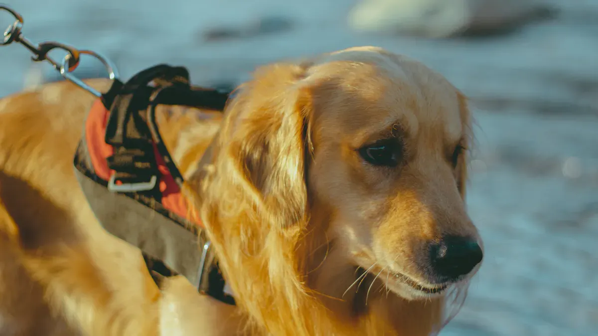 Tactical Features That Add Real Value