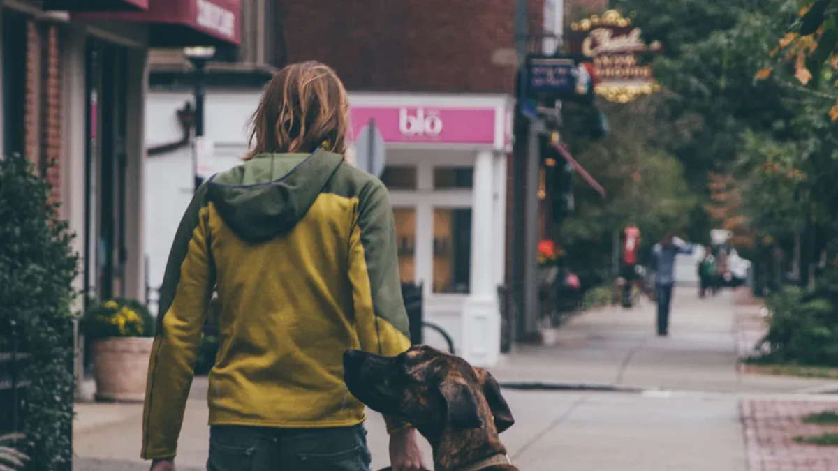 Choosing Leash Length by Environment