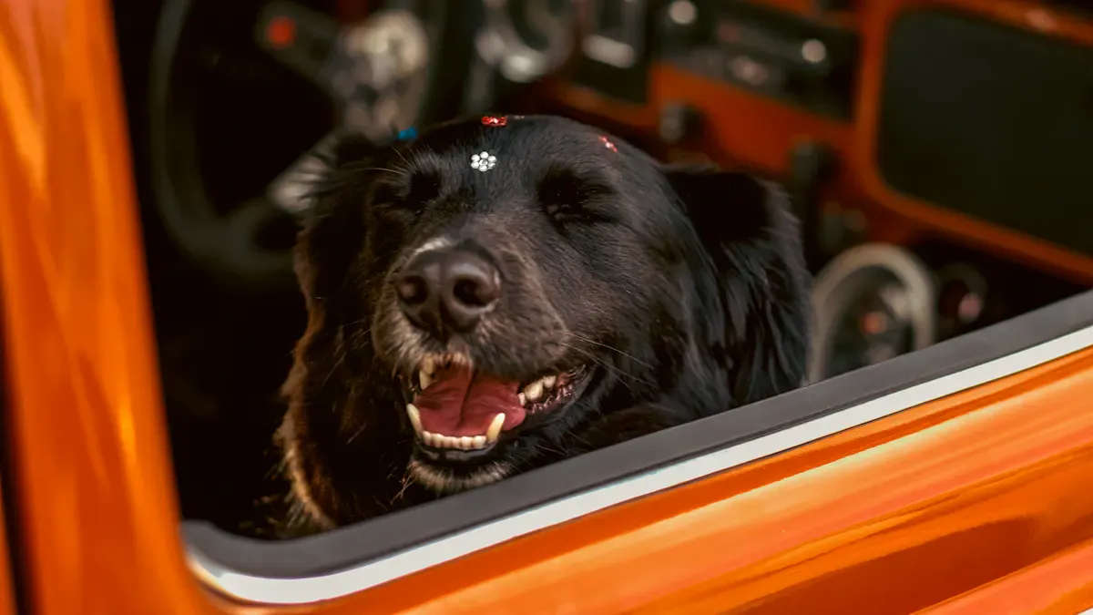 What to check after the first short ride