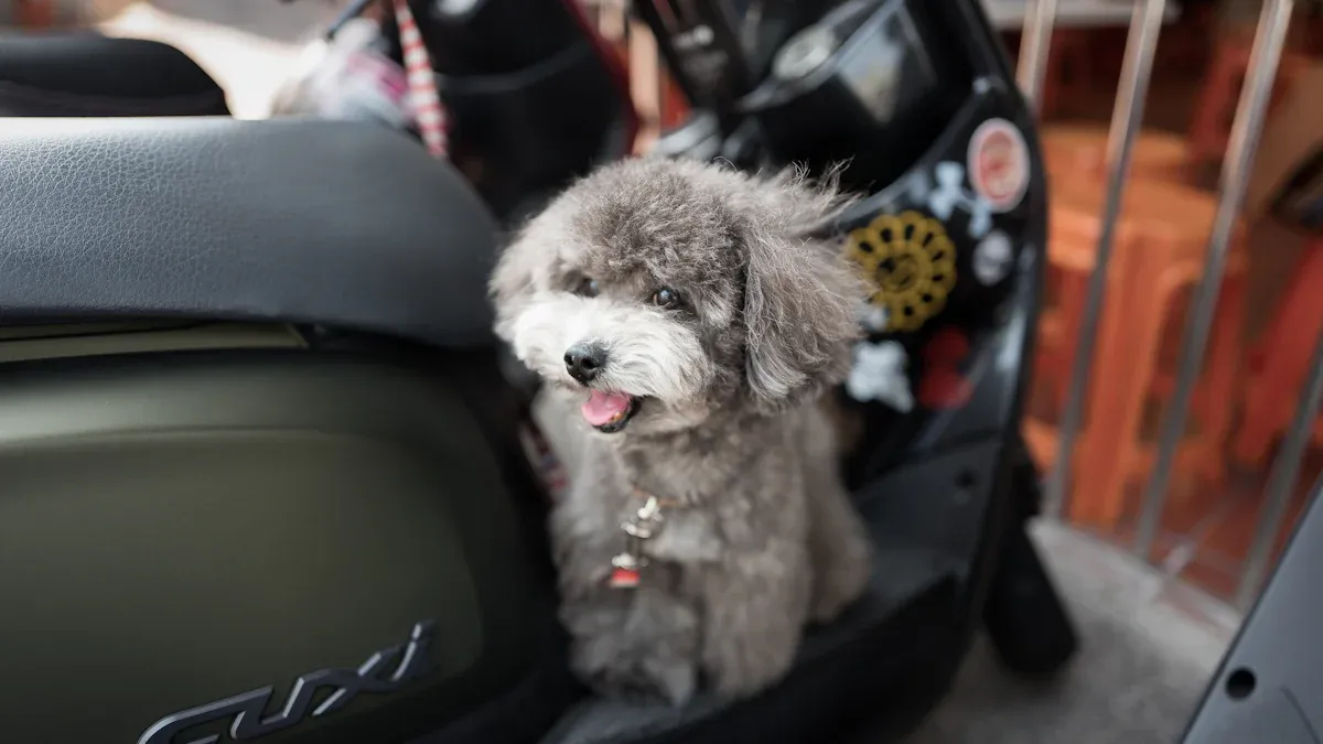 Key Features Of The Best Dog Car Seats