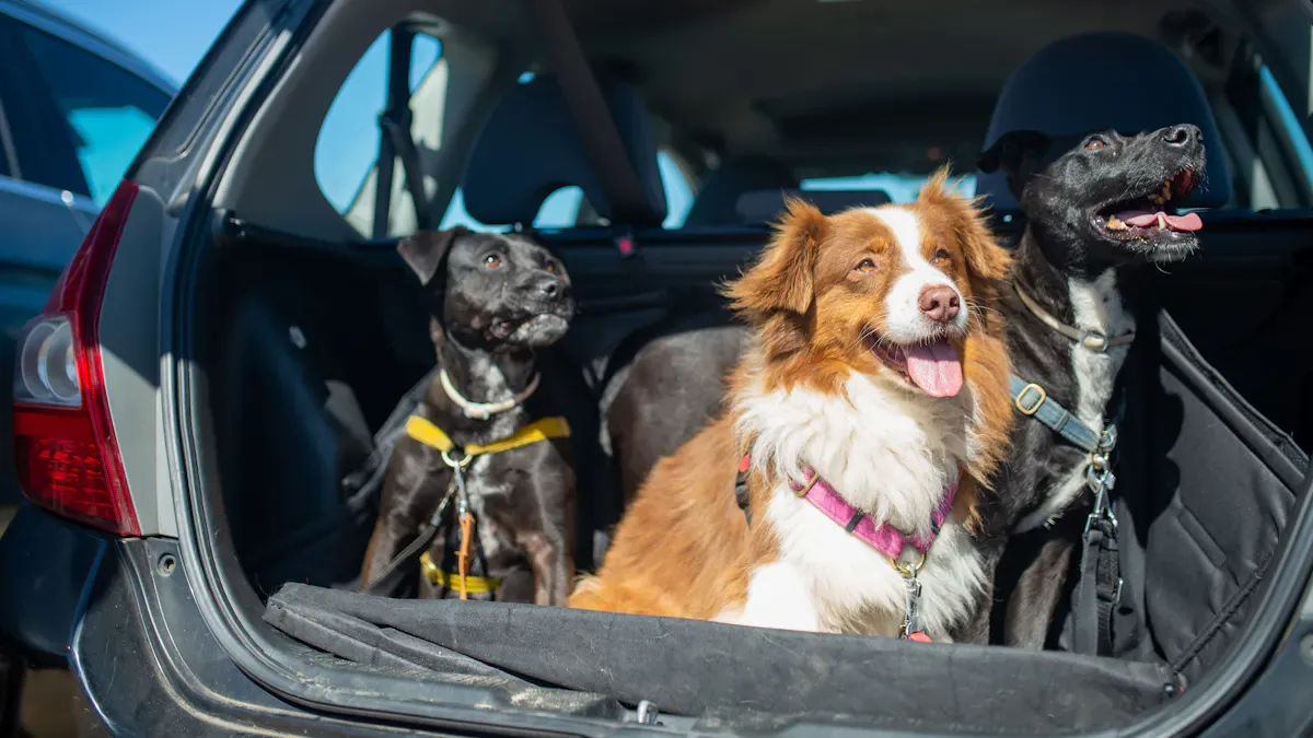 Dog seat setup details for car travel