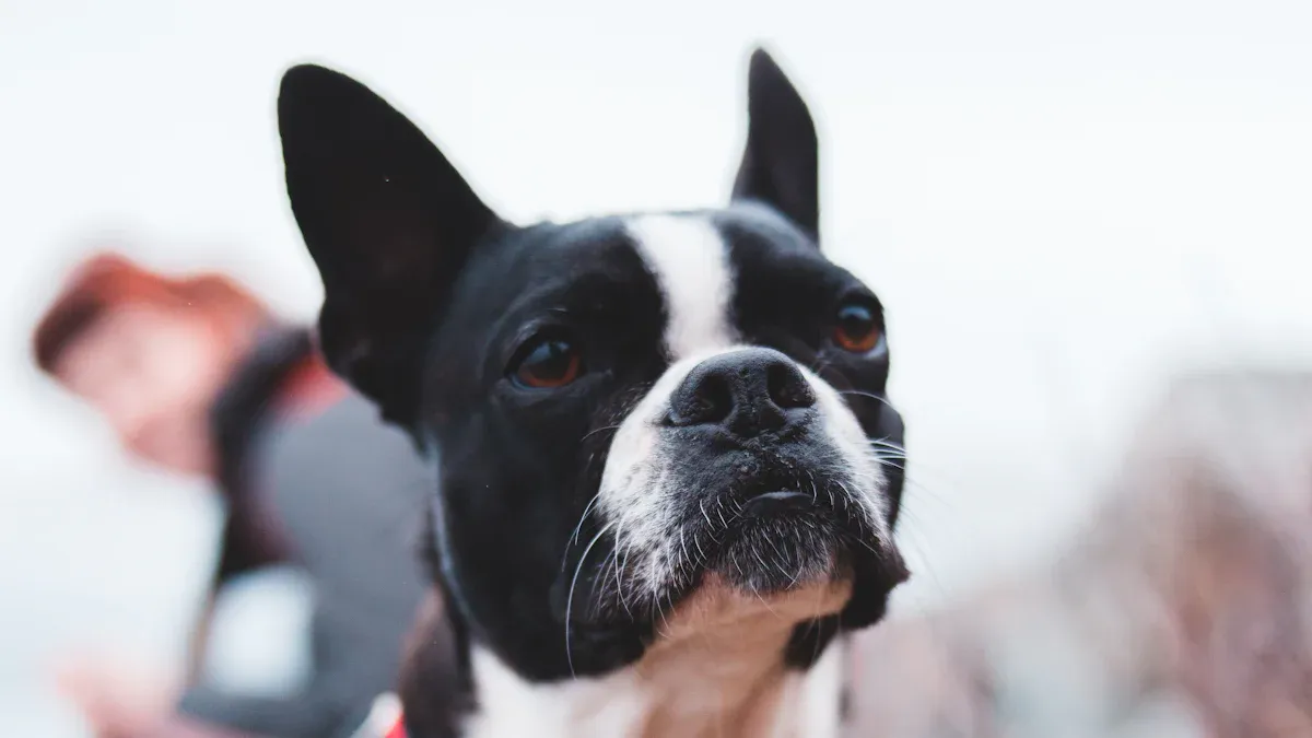 Harness strap drift and shoulder room