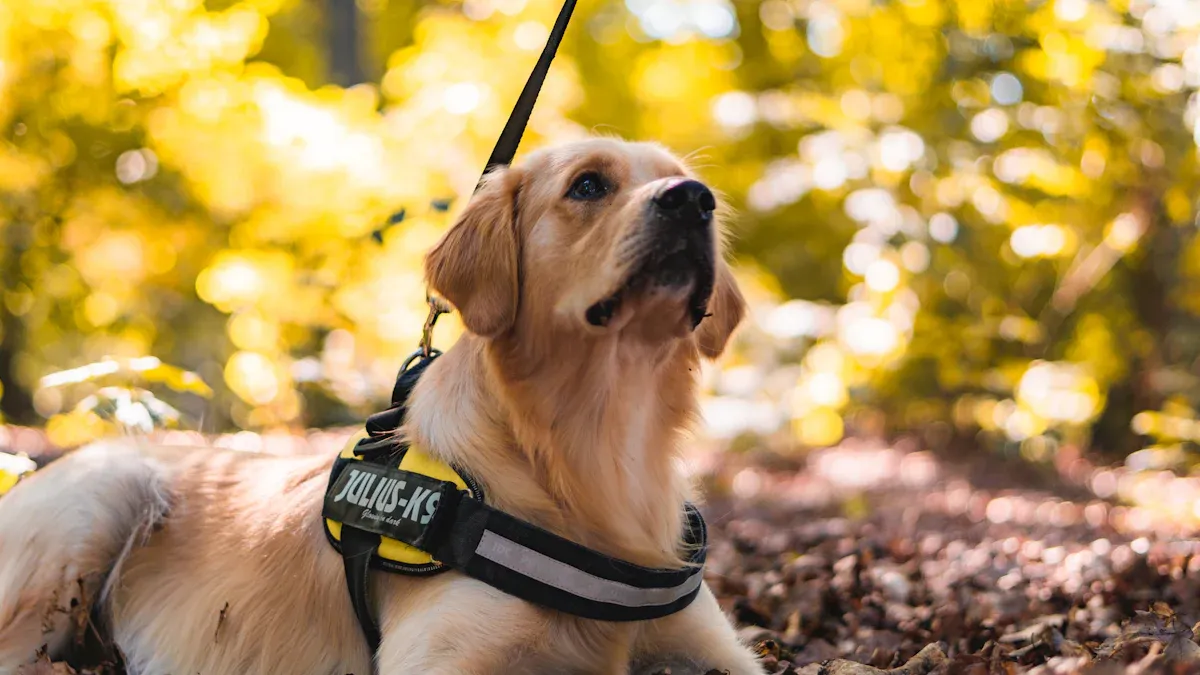 Lift Assist Harness: When and Why to Use