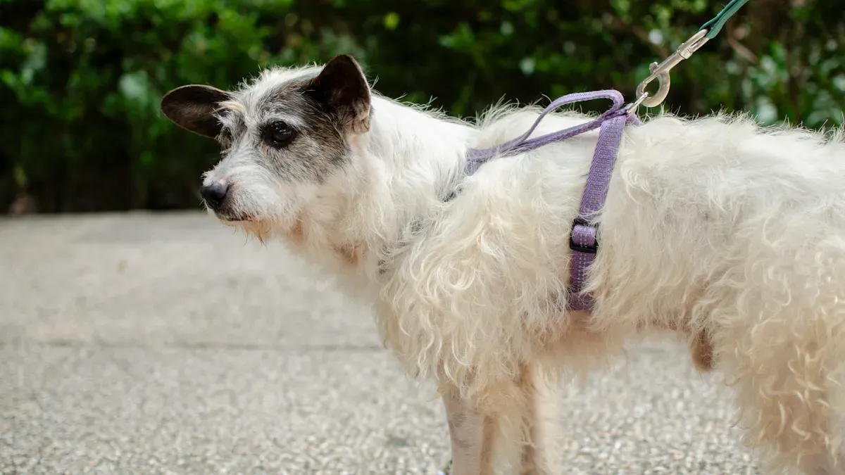 What Causes Shift, Twist, and Rub