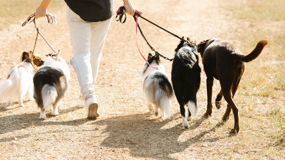 Quick Leash Length Guide for Running