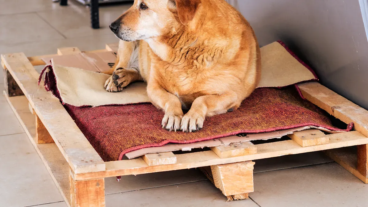 What Changes When the Same Bed Moves Indoors