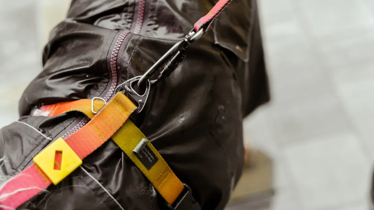 Dog backpack fit, entry, and carry checks