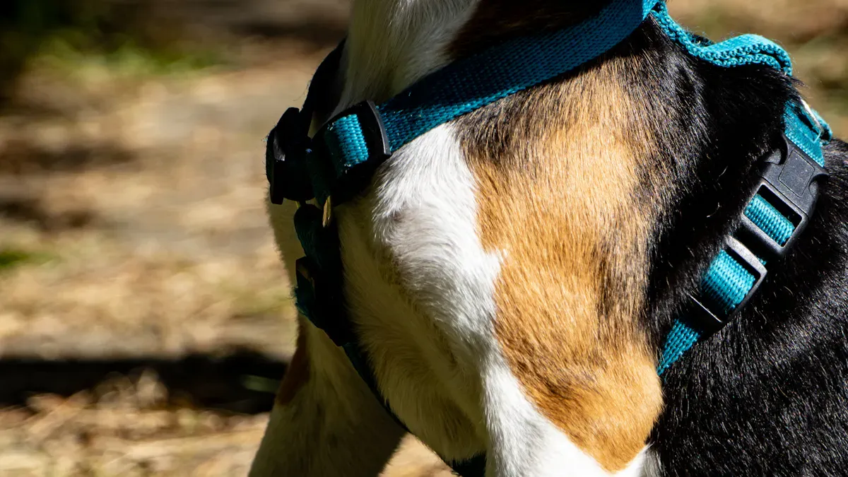 Key Features in the Best Dog Harnesses