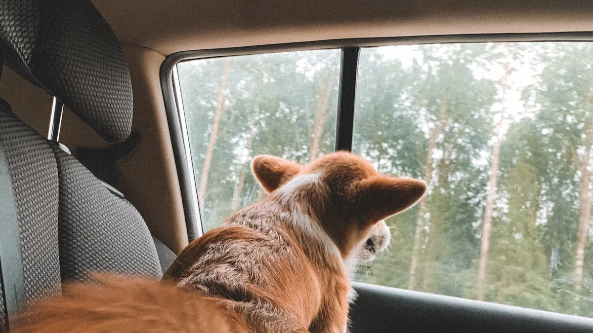 Choosing pet seat covers for real-life travel