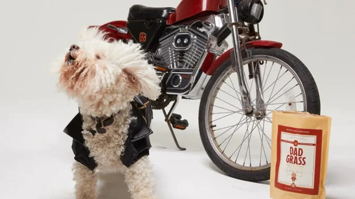 carrying dog on bicycle: signs of discomfort and stress