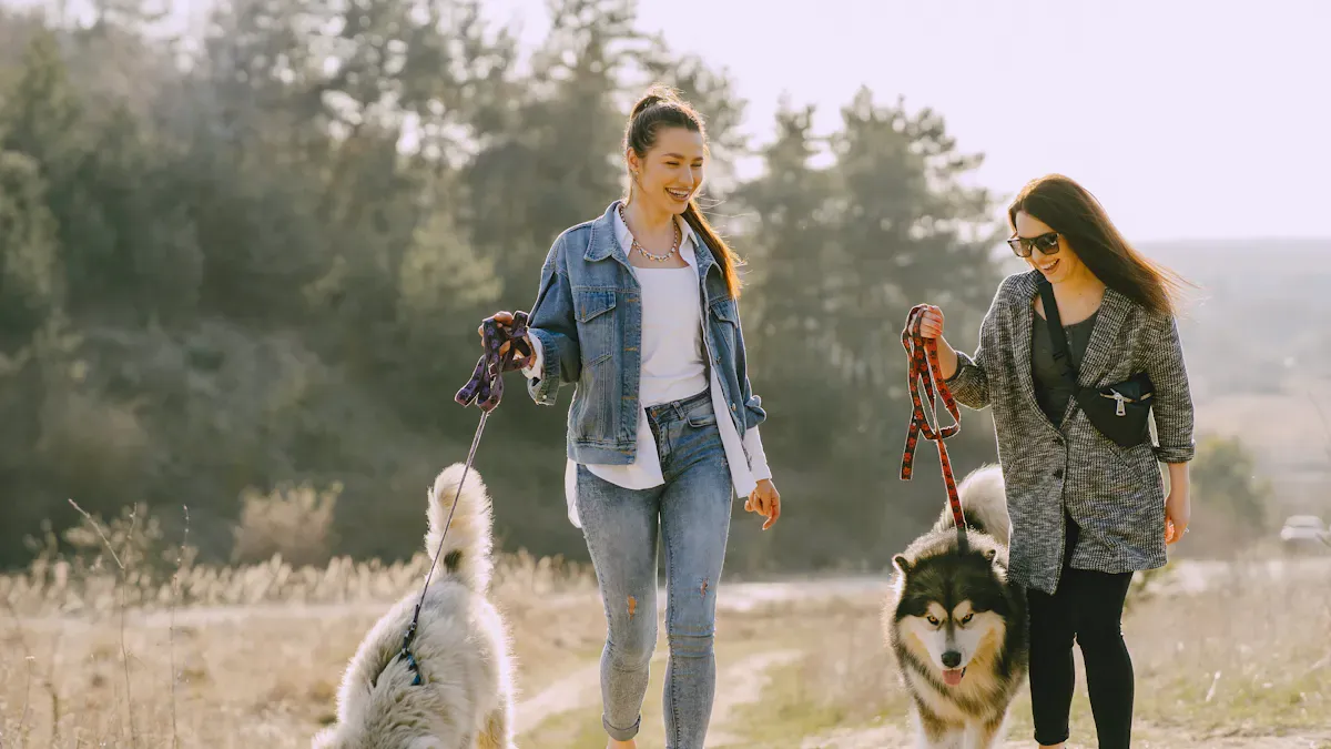 Checking belt comfort and leash movement on a hands-free dog leash