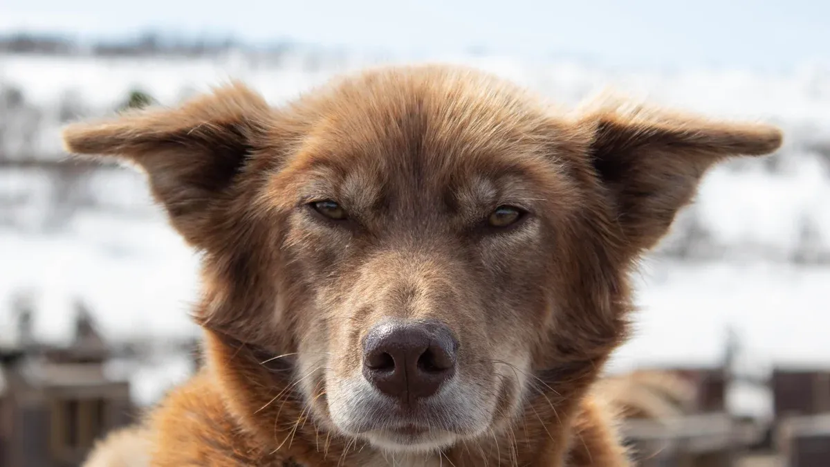 Anti-Matting and Sizing Routine