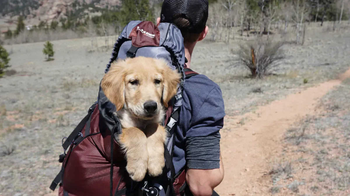 Fit Checks for Backpack Dog Carrier for Hiking