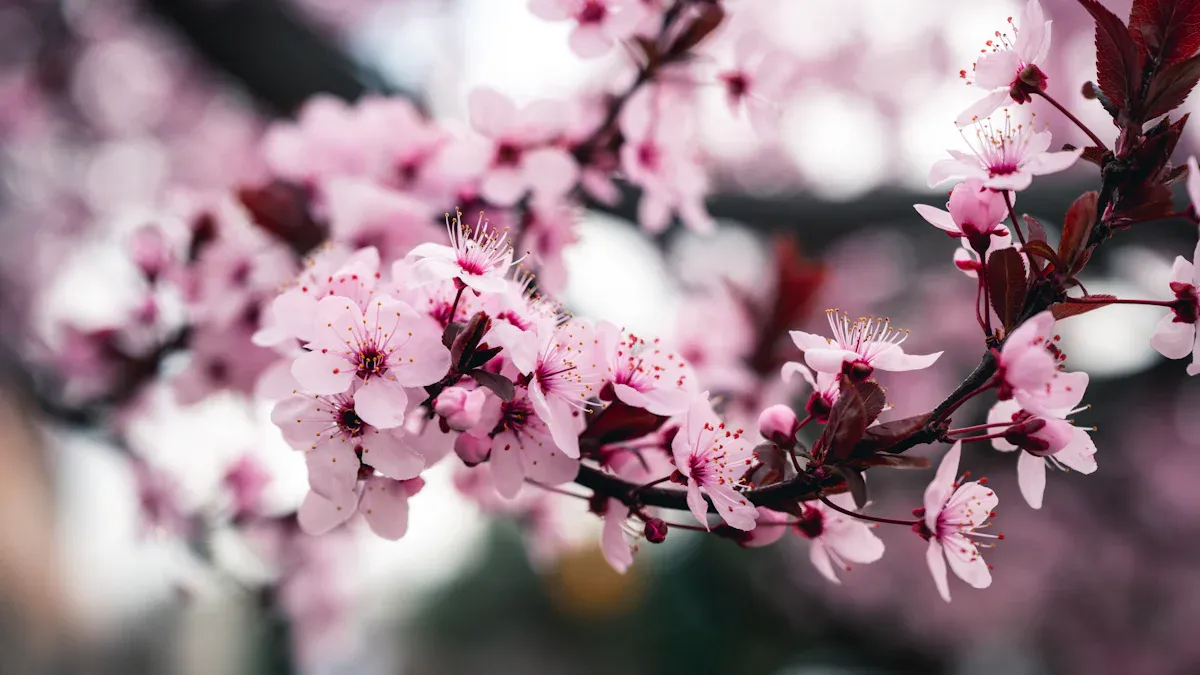 Personalized Gifts for the Loss of a Mother