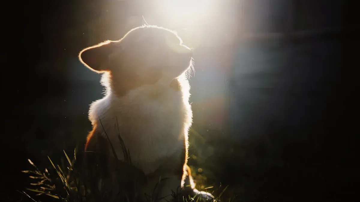 pet loss gifts