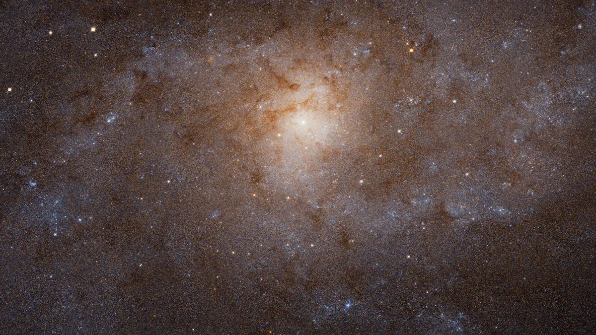 Largest Galaxy (Source: Unsplash)