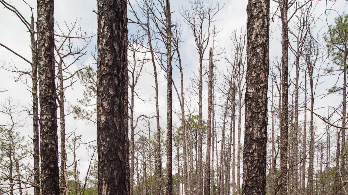 Understanding Environmental Detection in Oil & Gas