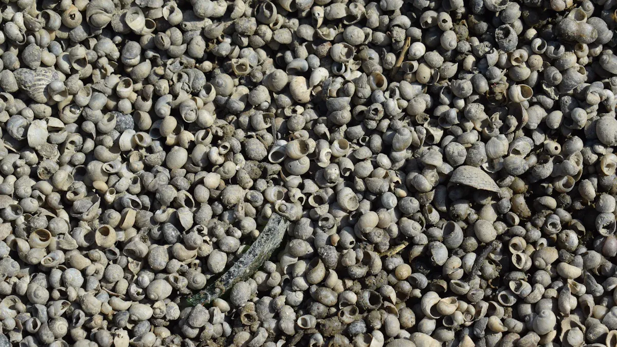 Real-World Applications of Pelletizing Extruder