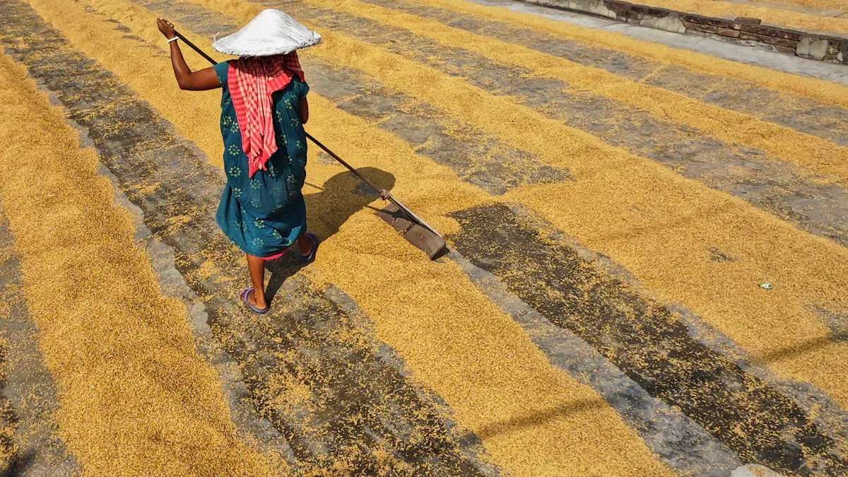 Conventional Drying Methods