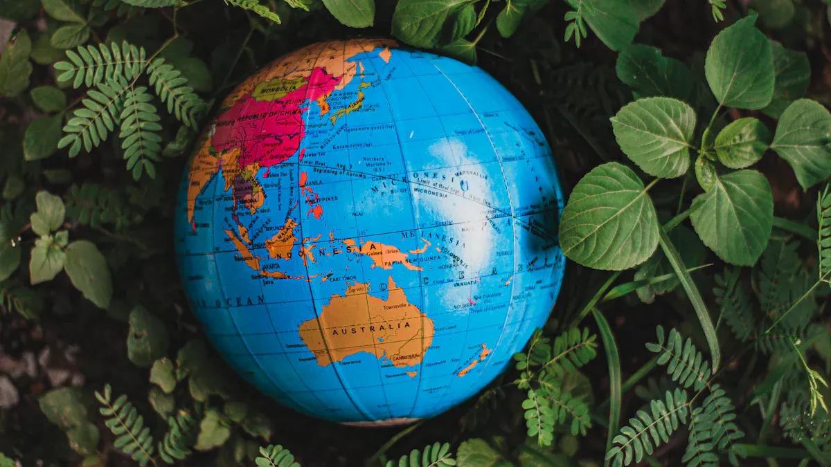 Defining Giants and Shared Resources