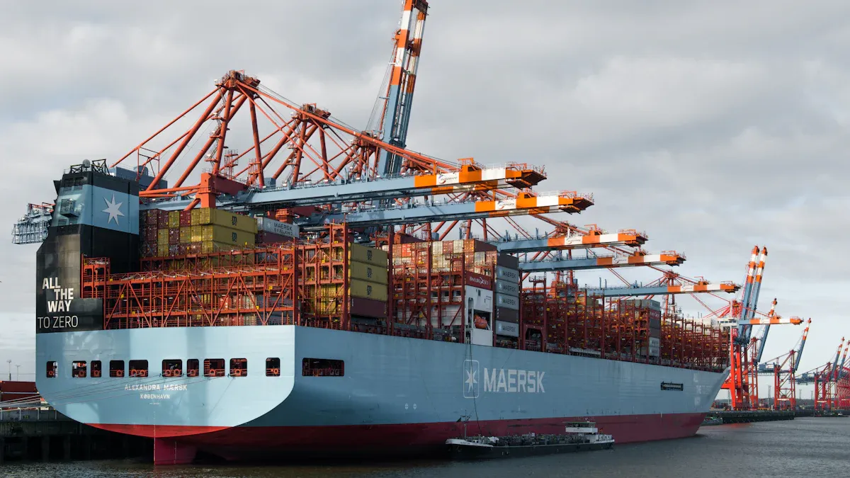 Import Steps in the EU